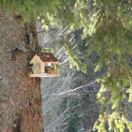 Holiday House Kaja Mojstrana Chambre photo