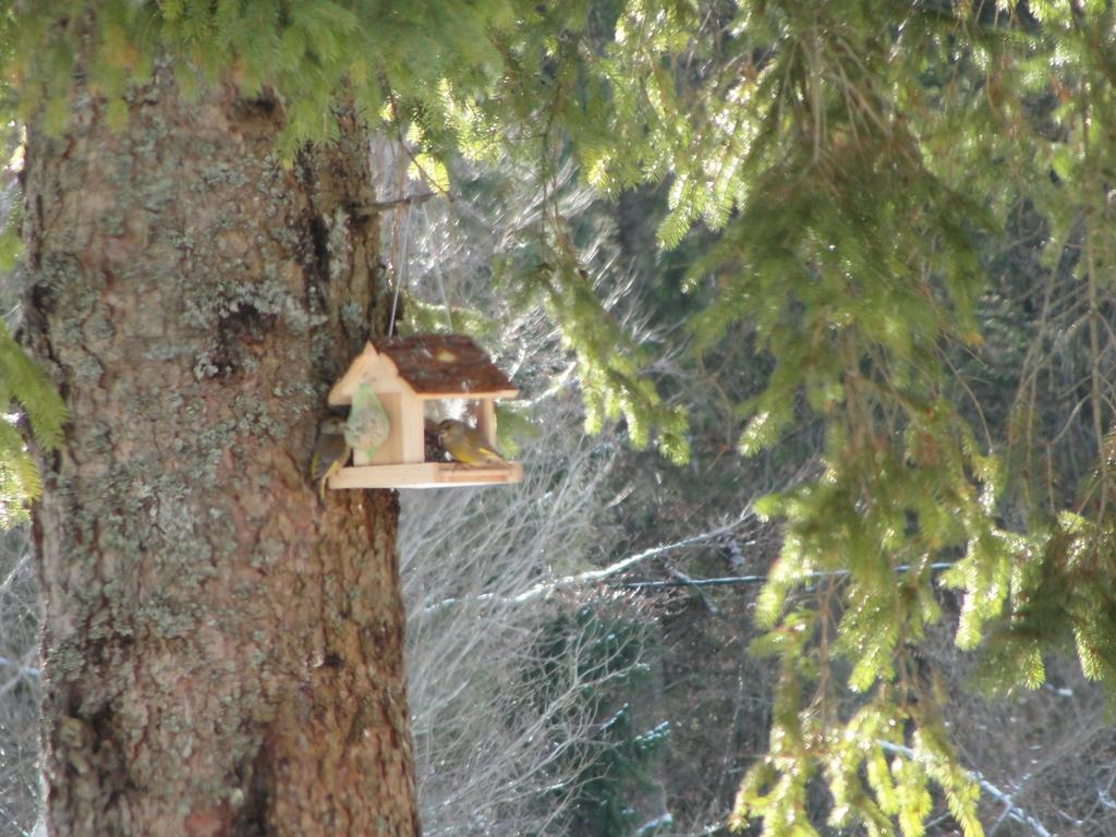 Holiday House Kaja Mojstrana Chambre photo